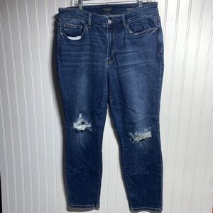 Judy Blue Slim Fit Jeans Women's size 16W Casual Comfort Distressed